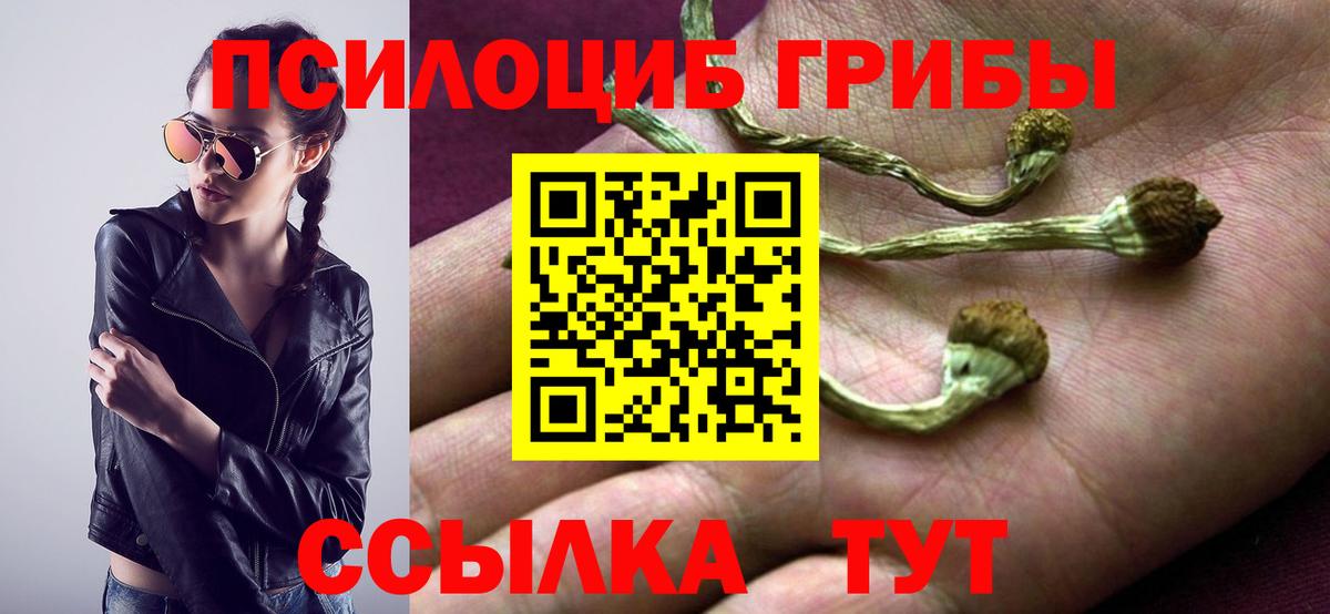 Галлюциногенные грибы GOLDEN TEACHER Жигулёвск